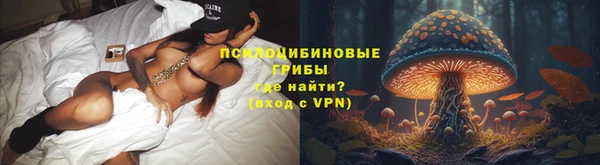 крисы Армянск