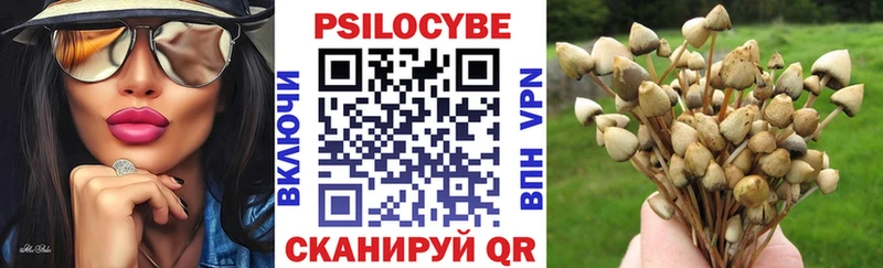 Псилоцибиновые грибы Psilocybine cubensis  где можно купить наркотик  Волгоград 